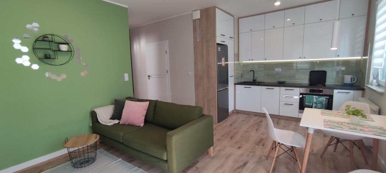 Apartament Zielone Zamienie Exteriér fotografie